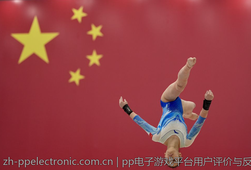 pp电子游戏平台用户评价与反馈分析