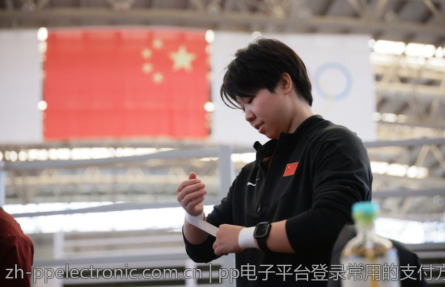 pp电子平台登录常用的支付方式