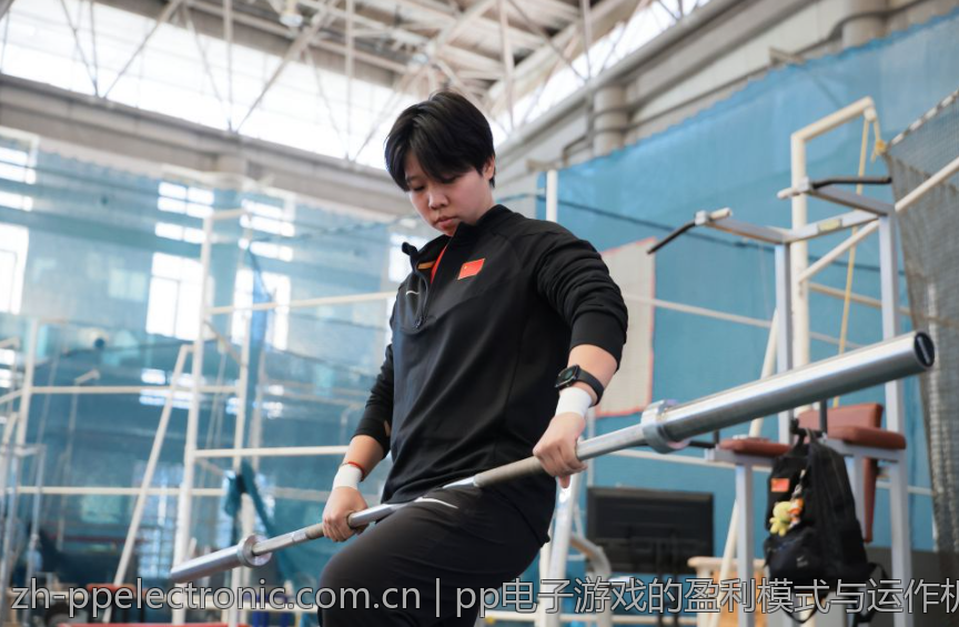 pp电子游戏的盈利模式与运作机制
