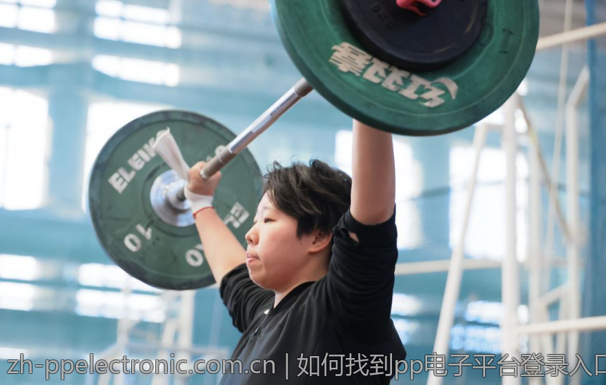 如何找到pp电子平台登录入口的帮助