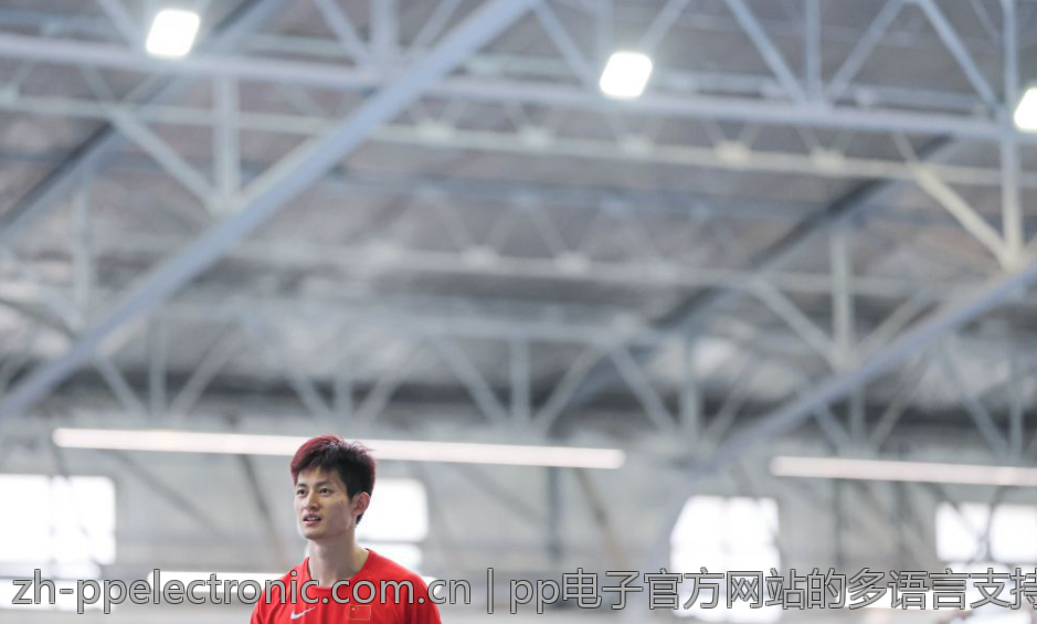 pp电子官方网站的多语言支持与用户体验