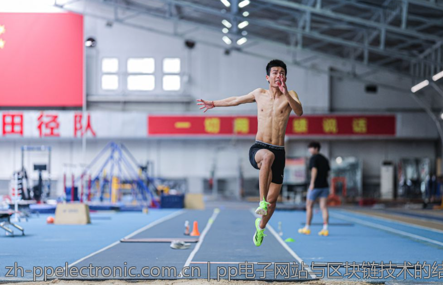 pp电子网站与区块链技术的结合探讨