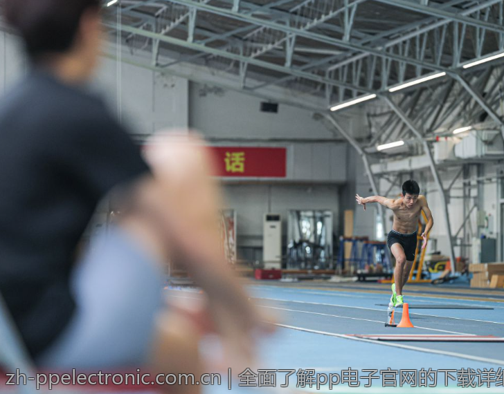 全面了解pp电子官网的下载详细指南