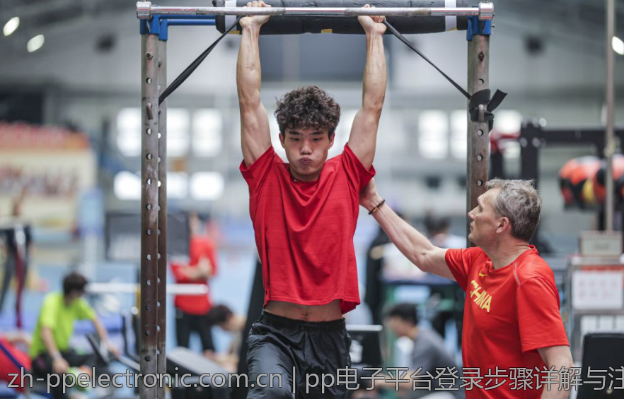 pp电子平台登录步骤详解与注意事项