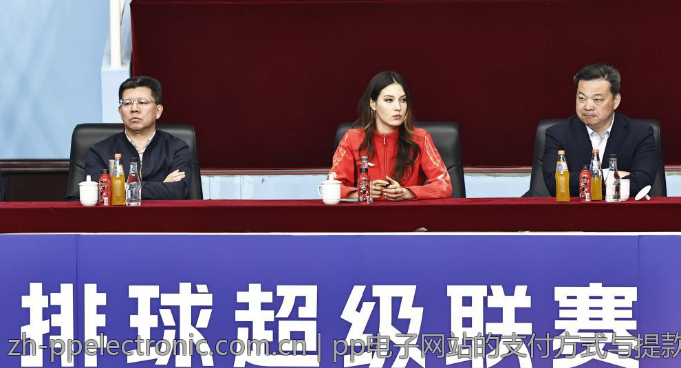 pp电子网站的支付方式与提款流程