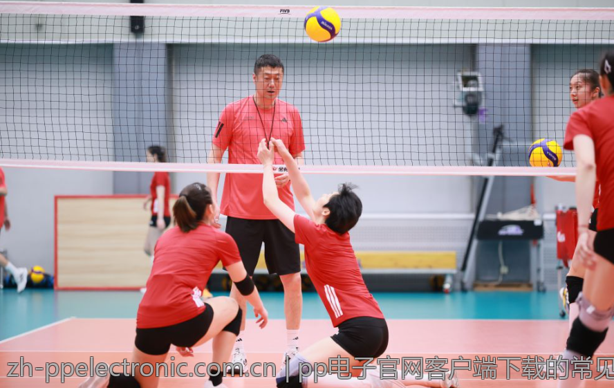 pp电子平台登录后如何获取最新资讯
